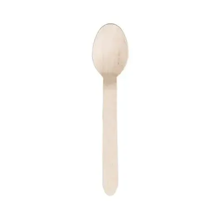 Wooden Spoon- PK 100