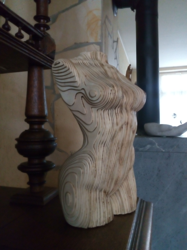 Torso