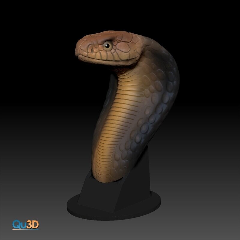 3D print model king cobra complete package including tongue and base high polygon