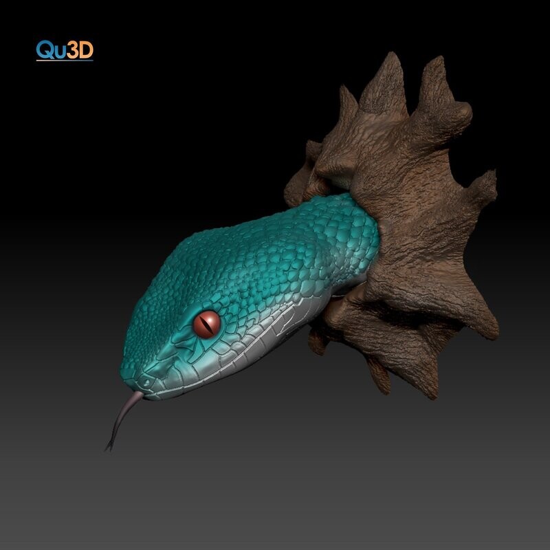 Trimerusurus insularis, Schlange, Ast-Modell- 3D-Modell