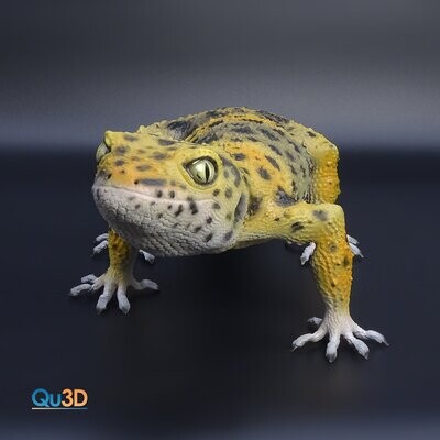 Leopardgecko Female3D- Druck Model- Ganzkörper