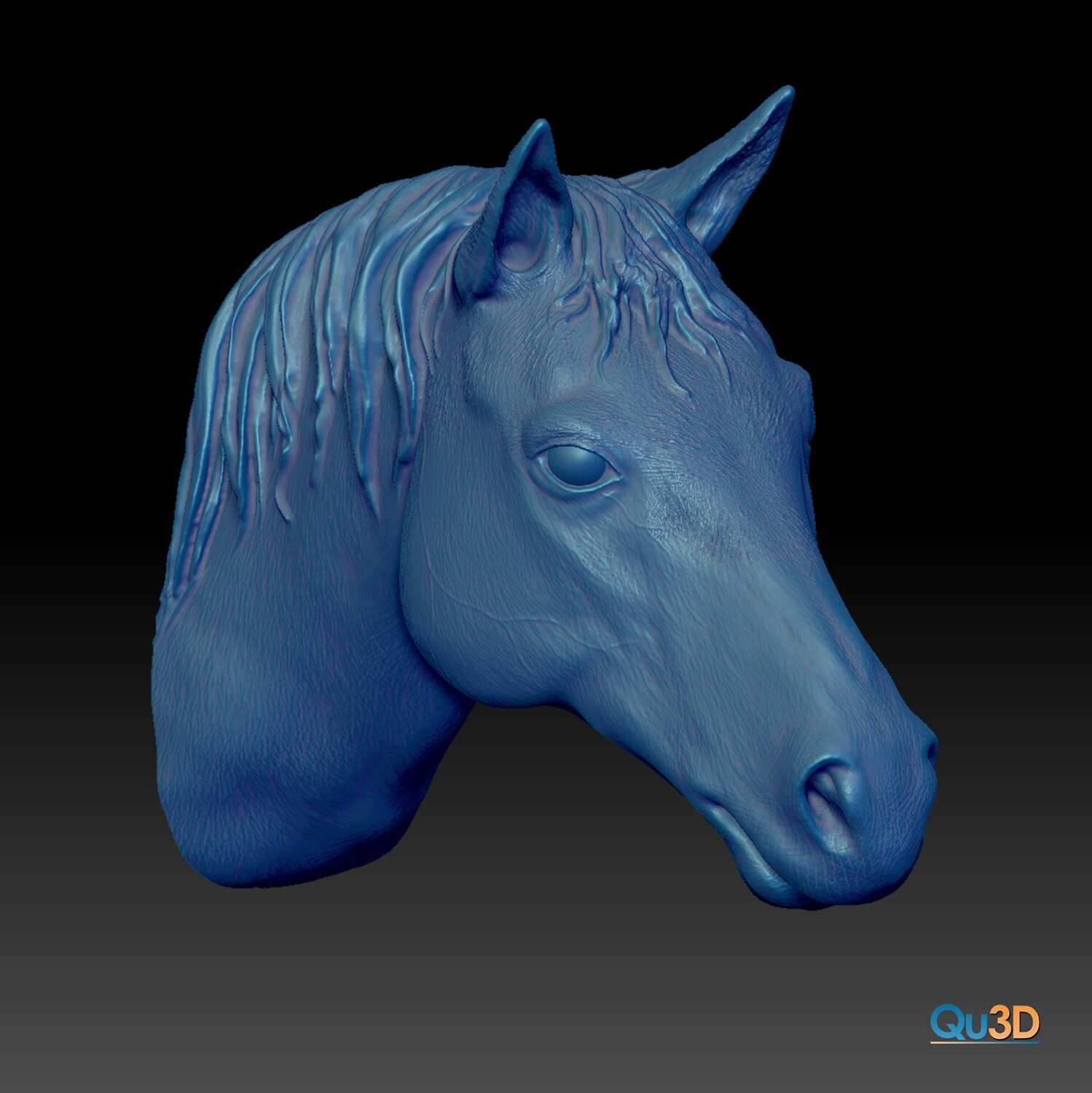 Quarter-Fuchs-Kopf-Portrait-3D-Modell