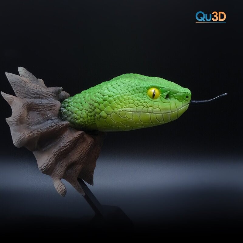 ​Trimerusurus albolabris - White-Lipped Bamboo Pit Viper 3D Print Model- High-Polygon STL 3D print model Including tongue + attachment- Including tongue and wall mount