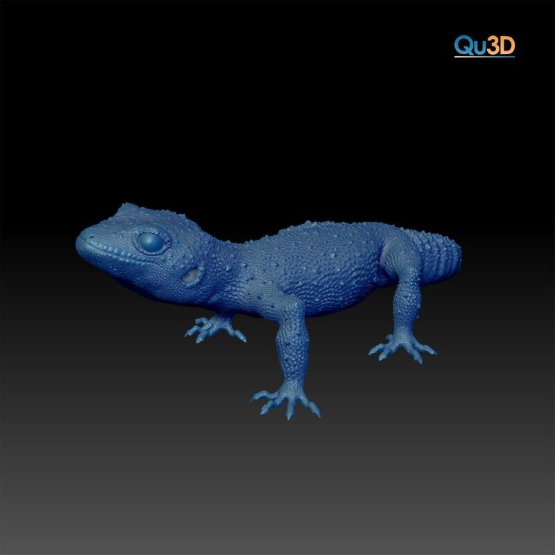 Leopard gecko as default (reptile, animal, gecko)-as SDTL 3D printing whole body-high polygon