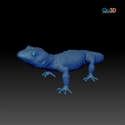 Leopardgecko als Standard 3D-Druck- Ganzkörper