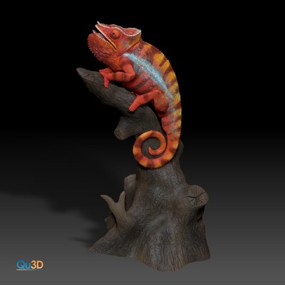 Panther-Chamäleon -Furcifer pardalis ambanja auf AST - (Reptil, Tier)-als STL-3D-Druck-Modell- High-End 3D Druck Modell