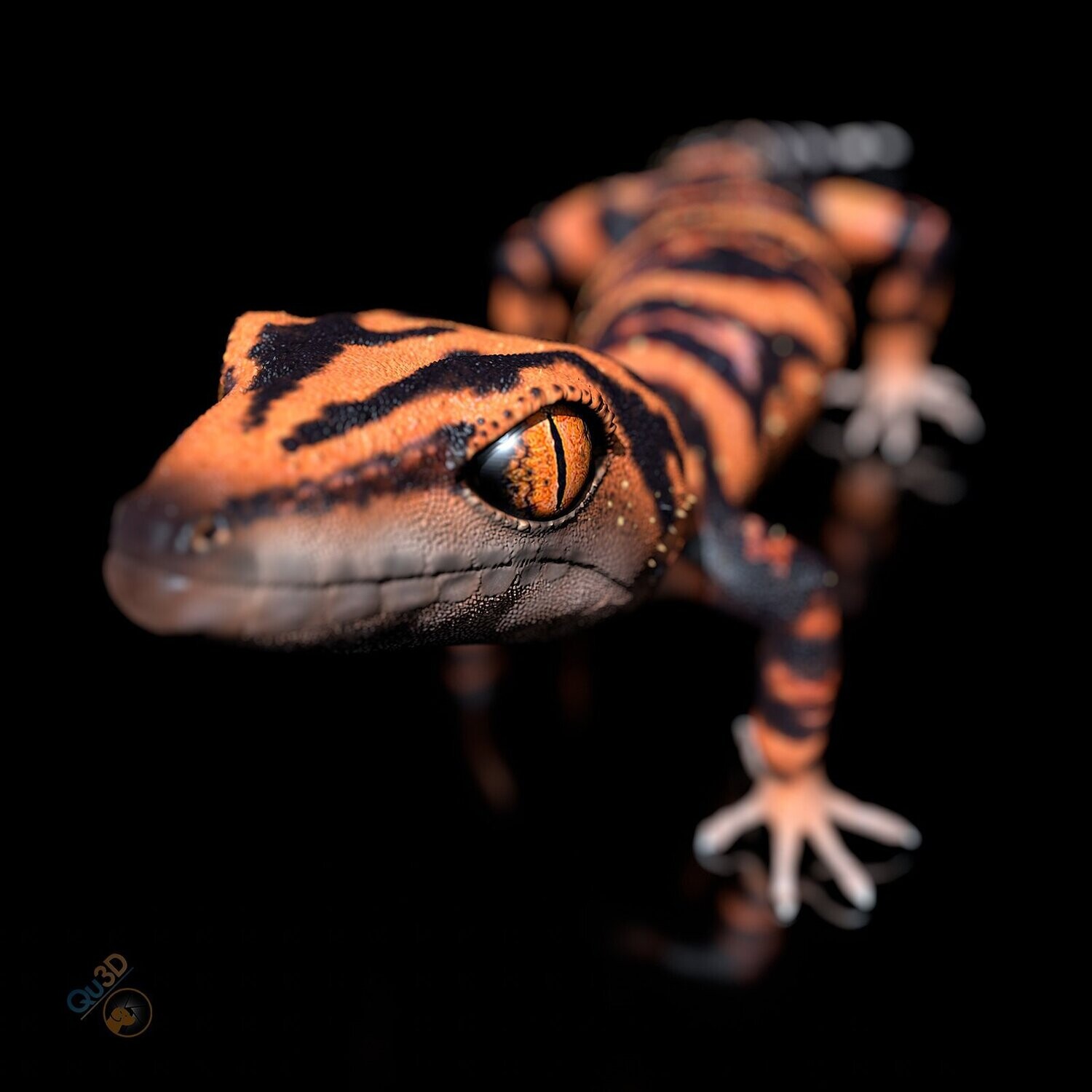 STL with full-size texture Japanese Cave Gecko- Goniurosaurus orientalis- High polygon 3D model- including Zbrush originals