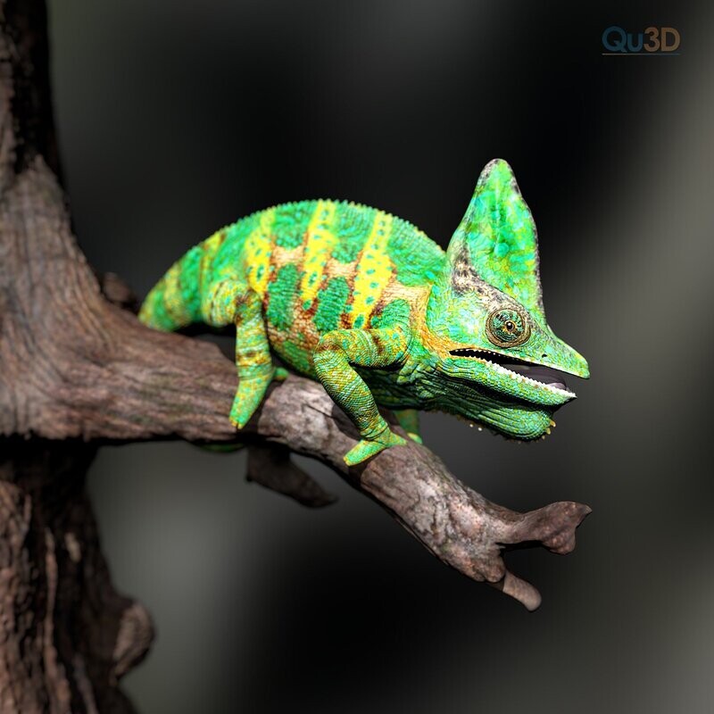 Chamaeleo calyptratus, Jemenchamäleon, Full-Size-Textur, Zbrush Originale