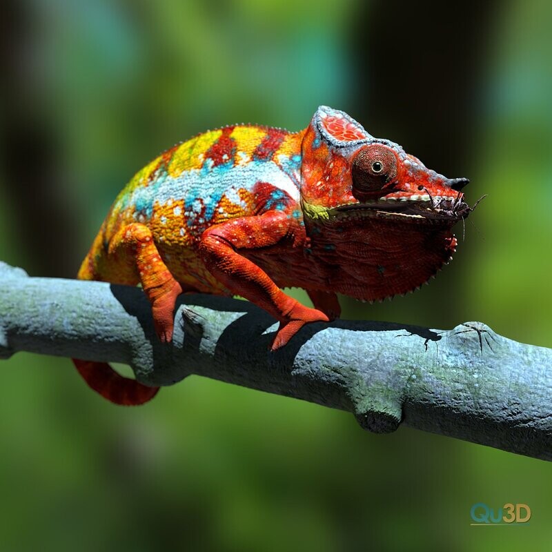 Furcifer pardalis ambanja red,3D-Druck-Modell mit Full-Size-Textur