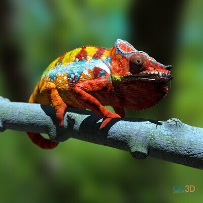 Furcifer pardalis ambanja red- (Tier, Reptil)- als STL-3D-Druck-Modell mit Full-Size-Textur - High-Polygon