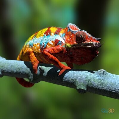 Furcifer pardalis ambanja red,3D-Druck-Modell mit Full-Size-Textur