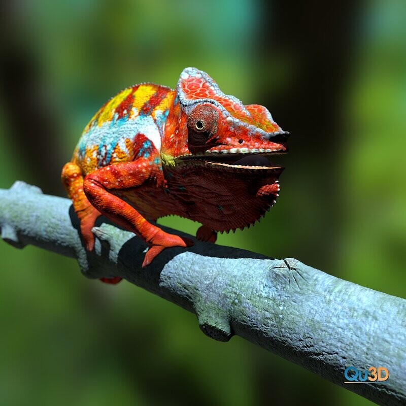 STL print file Pantherchameleon- Furcifer pardalis ambanja red- Full-size texture + incl. originals- High Polygon​
