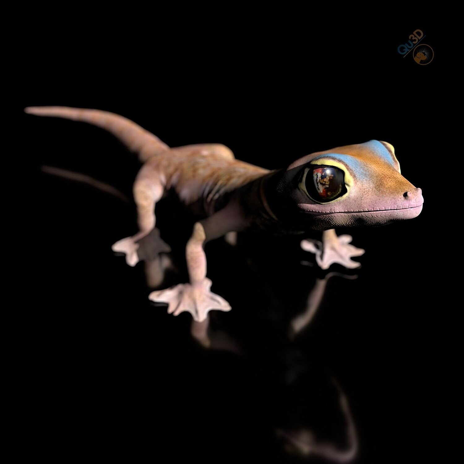 Australian Button-tailed Namib Gecko (Pachydactylus rangaii)​-/reptile, animal)- STL 3D print-file- with full-size texture + Zbrush originals