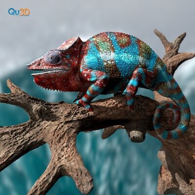 Pantherchamäleon - (Furcifer pardalis NosyBe)-(Tier, Reptil)- als STL-3D- Druck-Modell -mit Full-Size Textur- High-Polygon- modelliert in Zbrush