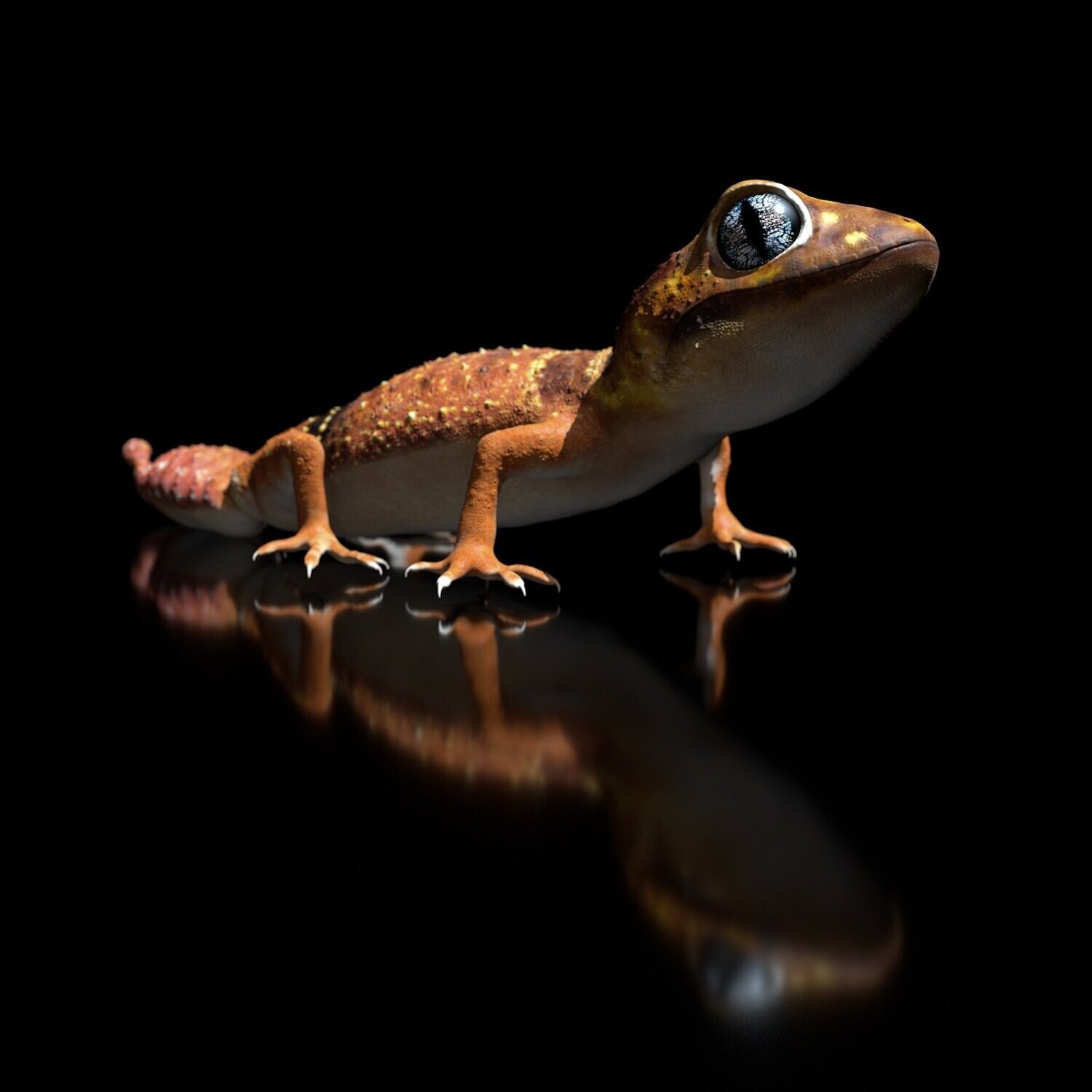 Knopfschwanzgecko, Nephrurus Levis, 3D-Druck-Modell,Full-Size-Textur, Zbrush Originale