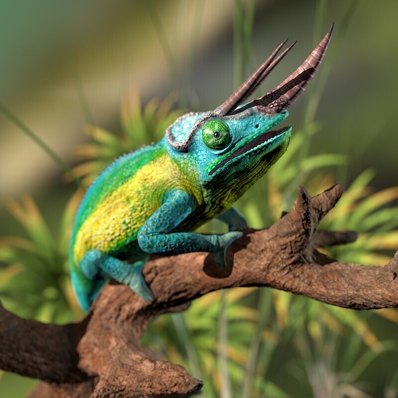 Three-Horned Chameleon - (Trioceros jacksonii) - (Reptile, Animal) - STL 3D Print Model with Full-Size Texture + Zbrush including Originals (Cinema, Zbrush) High-Polygon- Modeled in Zbrush