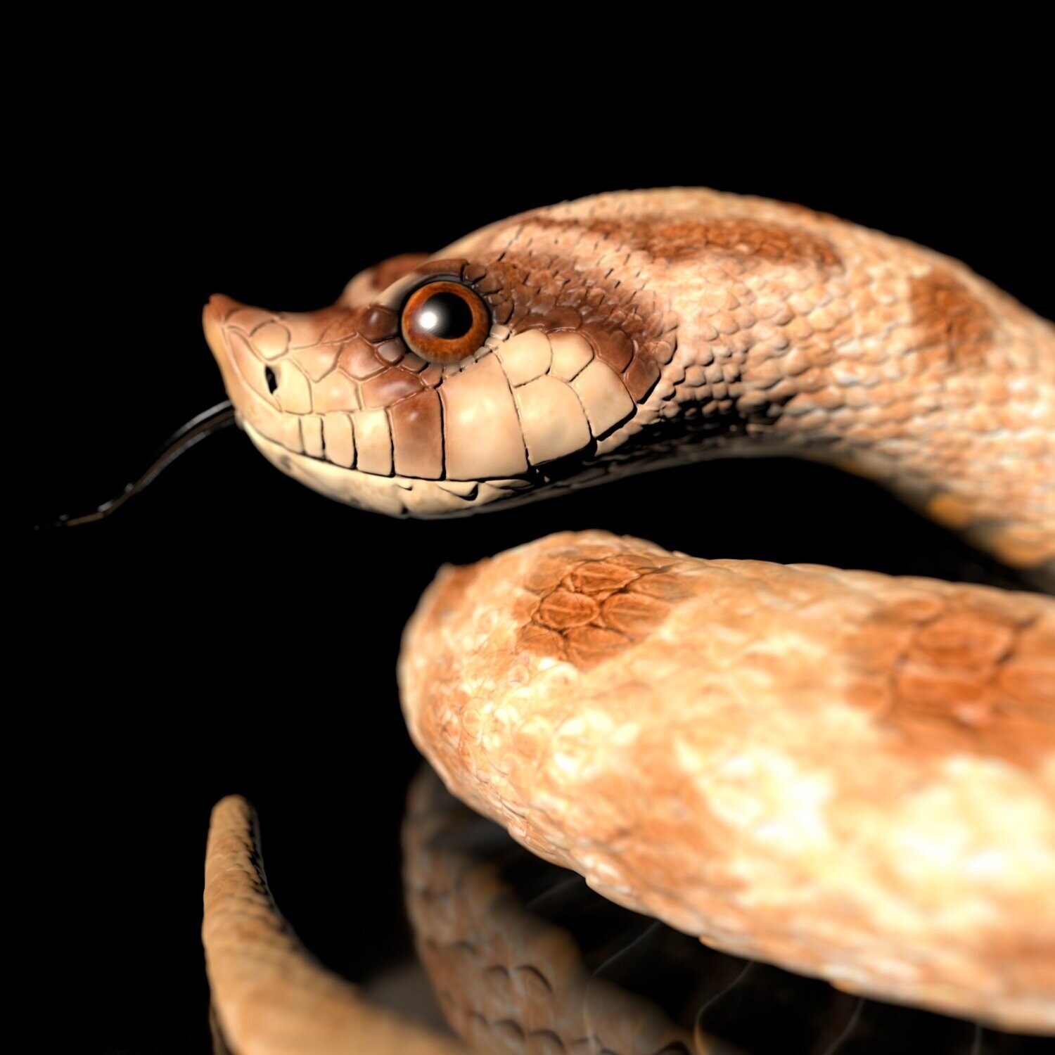 Heterodon Hock-Nose Snake​ (reptile, animal, terraristic)- High-polygon 3D model with full-size texture -  High-Polygon  3D Model incl. Originale
