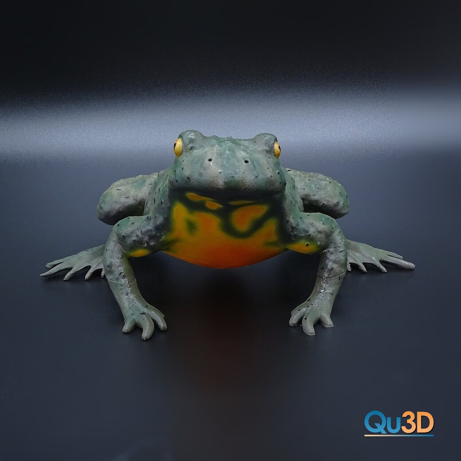 Bombina bombina Rotbauchunke- 3D Modell