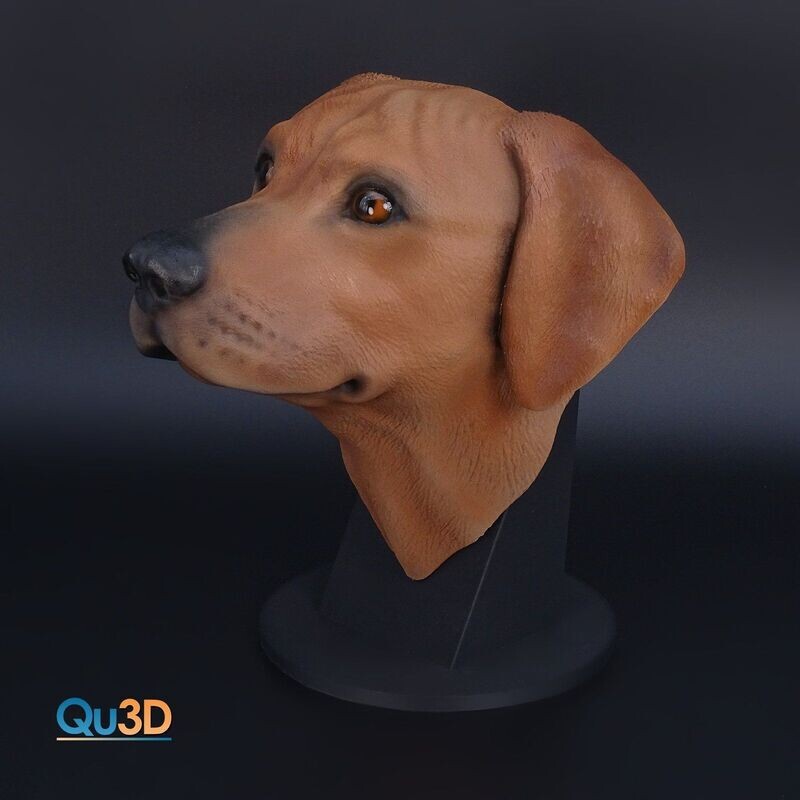 Ridgeback Head Portrait - (Dog, Animal) - STL 3D print model- High-Polygon-  including wall mount and base