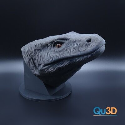 Waran Portrait 3D Druck-Modell