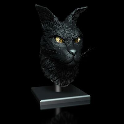 Cat Coon Portrait- Phantasie 3D Model File