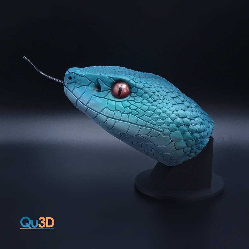 STL 3D print model Trimerusurus insularis, head model high polygon -incl. Base + wall bracket