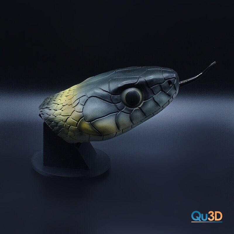 STL 3D Print File - Natrix Natrix High Polygon- grass snake, includes tongue (with magnet attachment), base and wall bracket