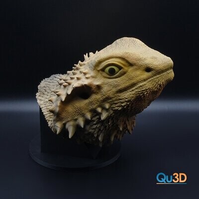 Bartagame Pogona viticeps 3D Druck Modell Bartagame Pogona viticeps 3D Druck Modell