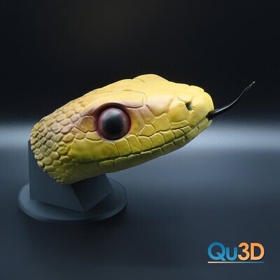 Erdnatter- Pantherophis obsoletus-Portrait-3D Druck