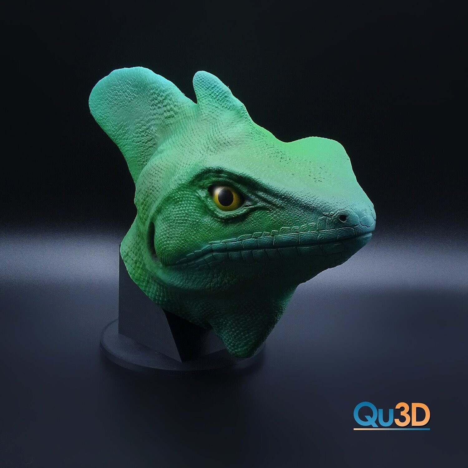 Basiliscus Plumifrons-Stirnlappenbasilisk
