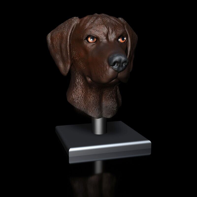 ​Rhodesian Ridgeback Portrait with stand, base, and wall mounts - STL 3D print model