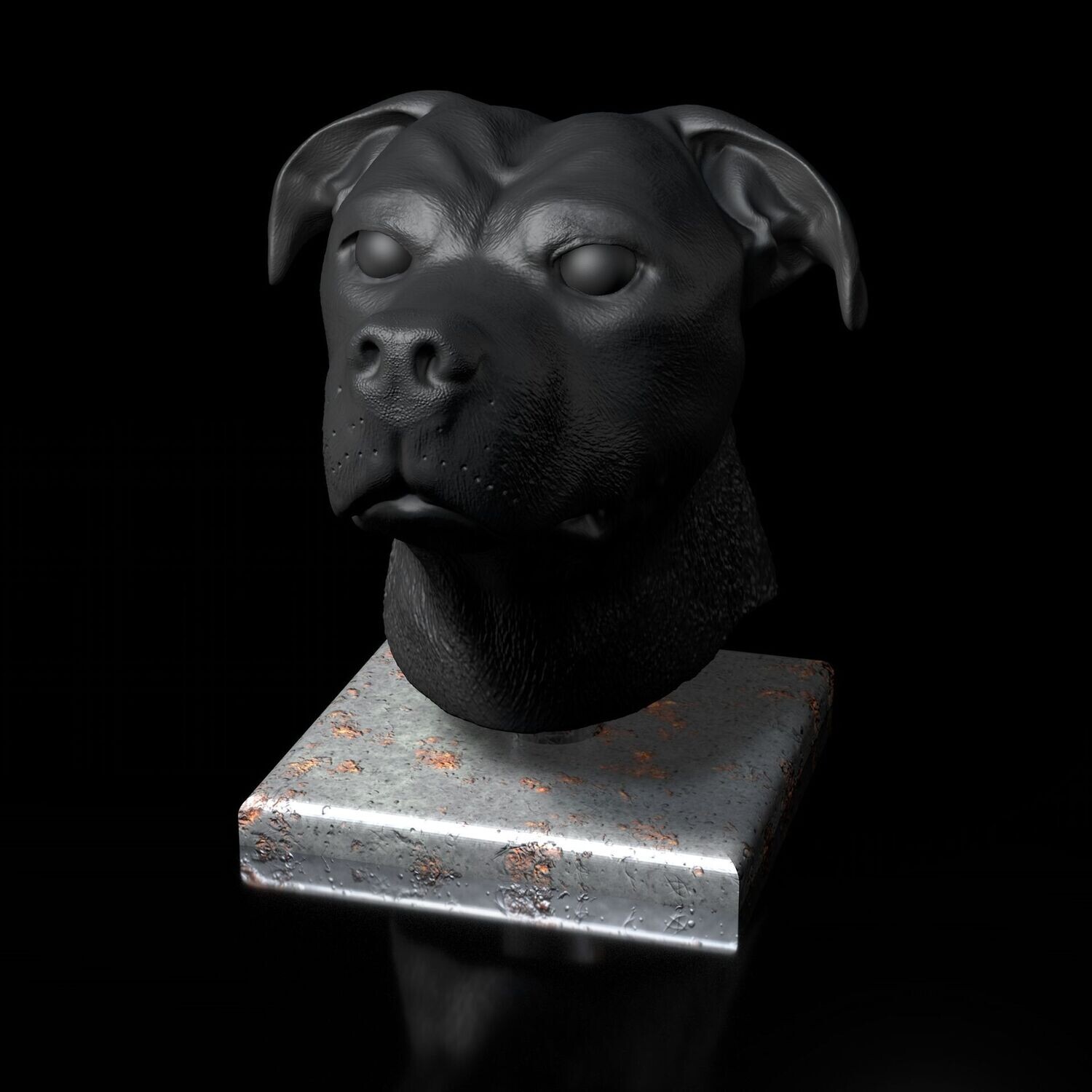 American- Staffordshire Hunde Kopf   Portrait