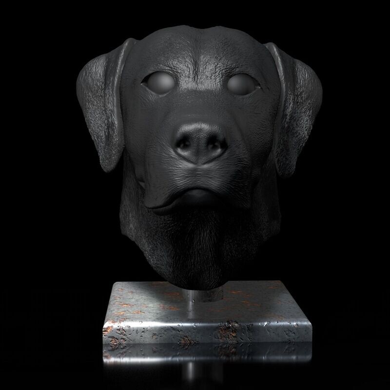 ​Labrador Male Head Portrait - STL-3D Printing Model-High-Polygon-Including Wall Mounts and Pedestals