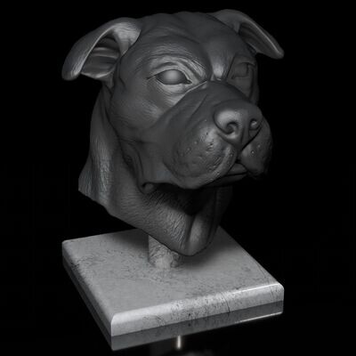 American-Bulldog-Kopf-Portrait 3D-Druck-Modell