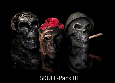 3-pack 20% discount Skull with Celtic symbols, Skull Rose, with helmet and cigar, 3D models