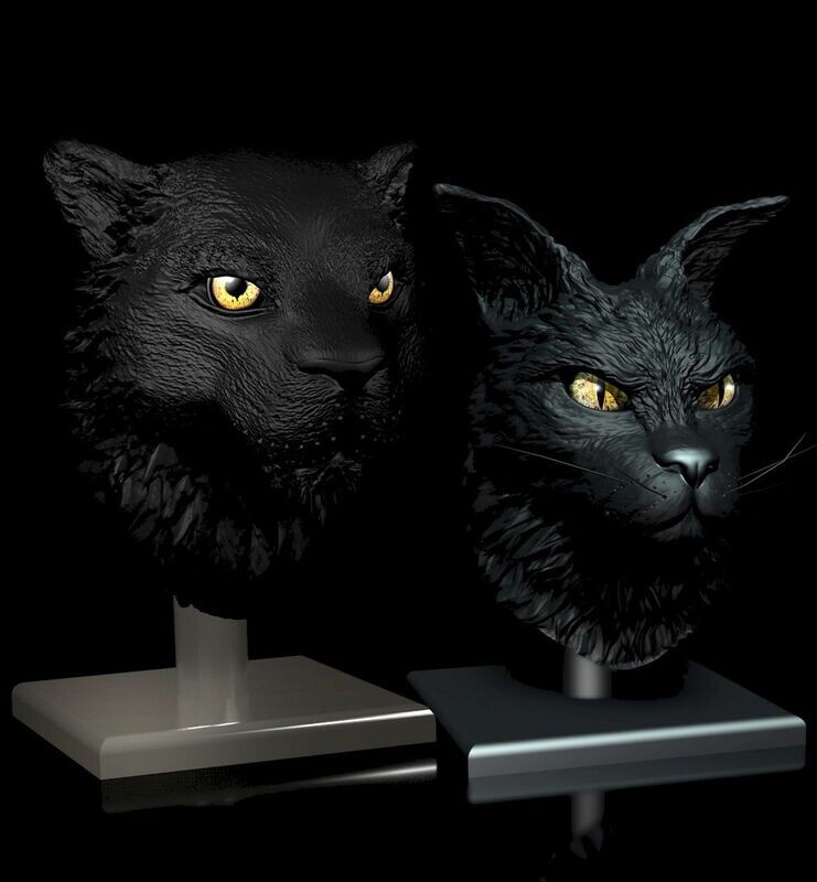 2er Pack- 30% discount- Tiger- und CatCoon-Portrait