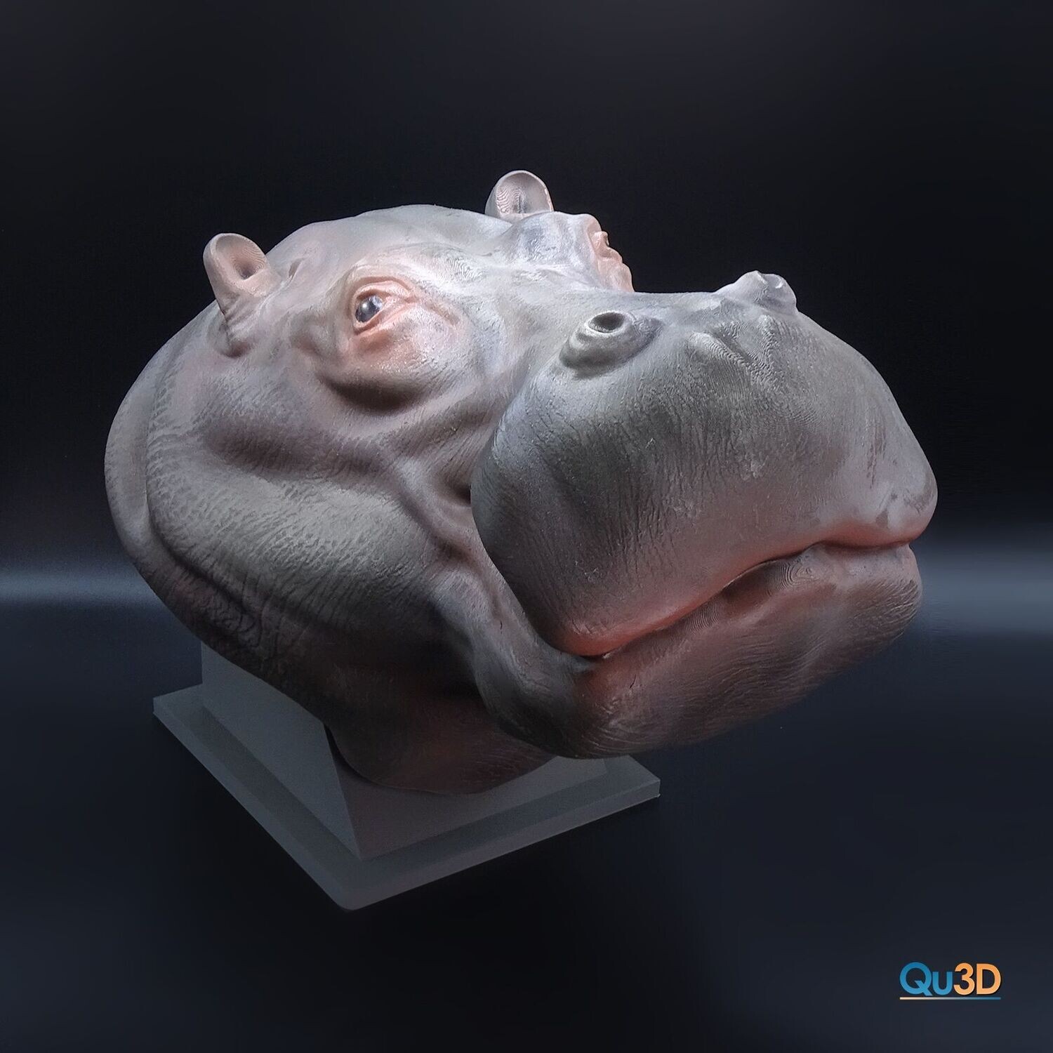 Nilpferd Portrait  - 3D Druck Modell