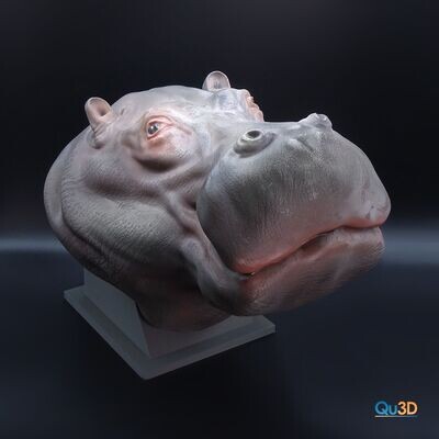 Nilpferd Portrait - 3D Druck Modell