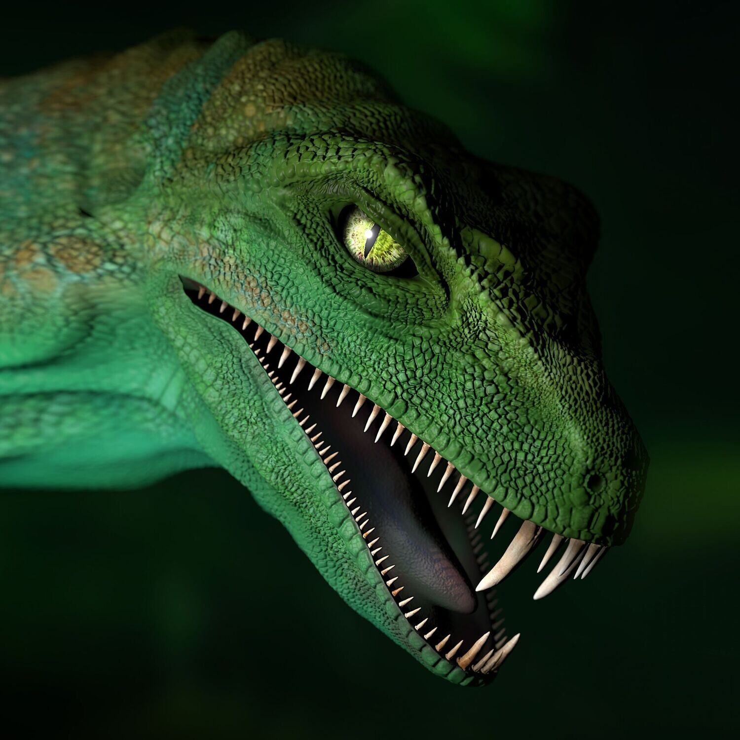 Raptor - Phantasie - für die Wand oder auf Sockel - 3D Druck Modell