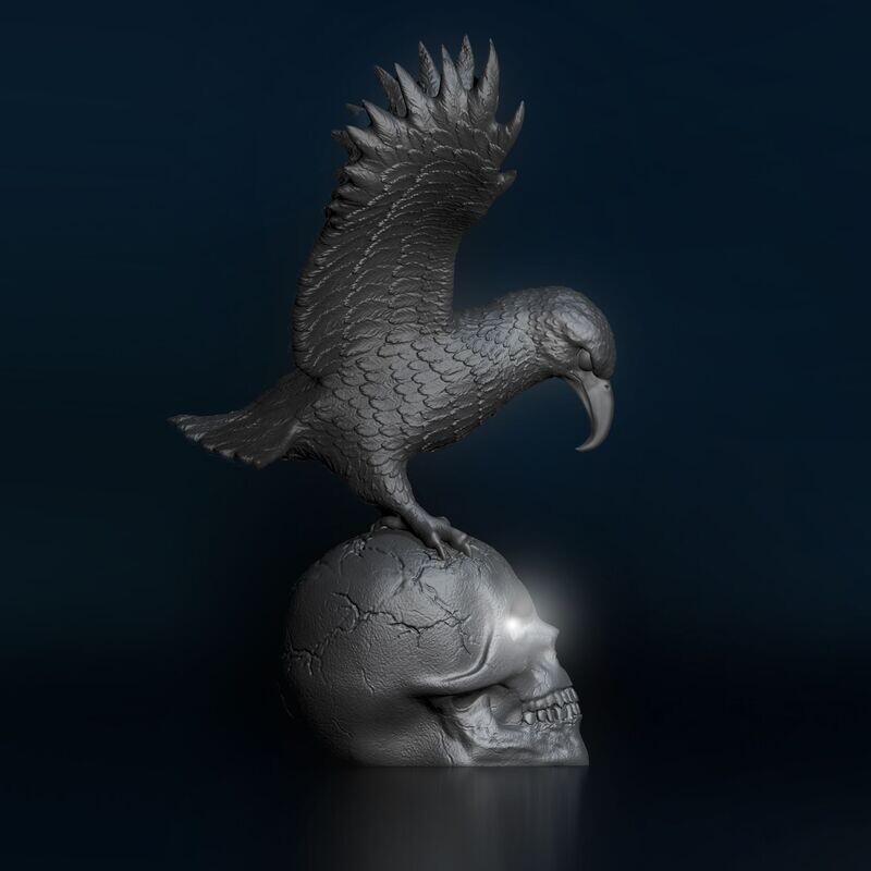Skull with Eagle Bird Eyes Open, Hollow Inside Skull with Eagle Bird Eyes Open, Hollow Inside