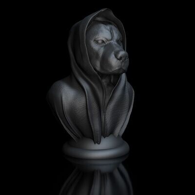Cape-Dog-Rottweiler - 3D Modell Datei