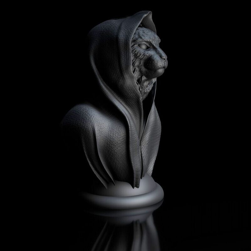 Cape-CAT-Maine-Coon -  3D Model Datei