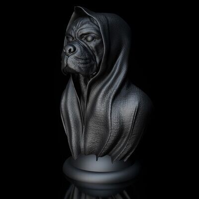 Cape-Dog-Boxer - 3D Modell Datei