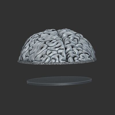 Headgear - Skull with Brain for the Skull Lamps Series