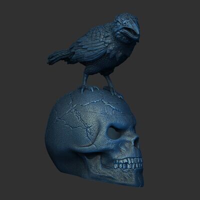 Crow-Skull eyes open3D print model