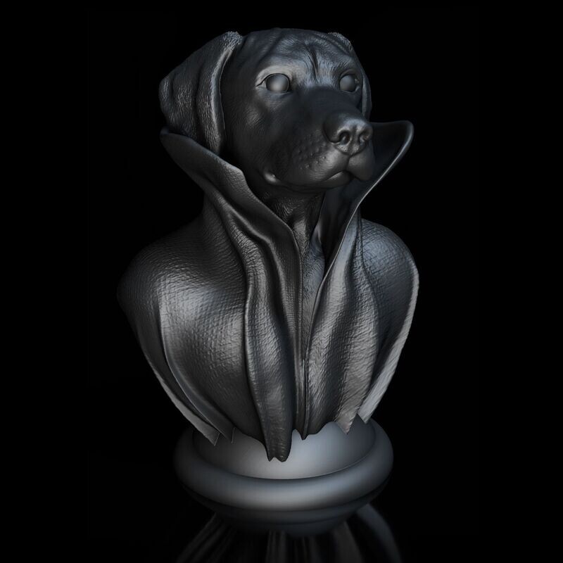 Cape-Dog-Kragen-Ridgeback