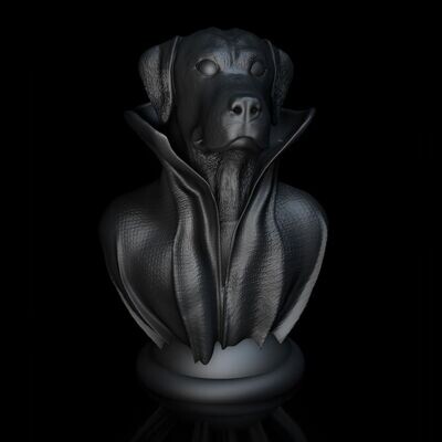 Cape-Dog-Kragen-Labrador 3D Modell