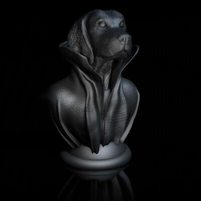 Cape-Dog-Kragen-Beagle 3D Modell
