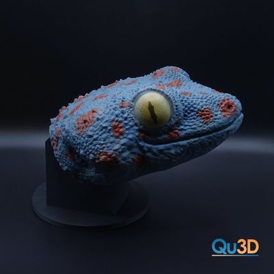 Tokeh, Tokee, Gekko gecko, Portrait,  3D-Druck -Modell