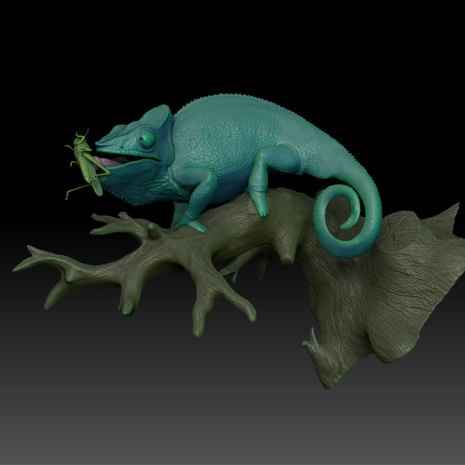 Furcifer-Pardalis-Shoot-kurze Zunge